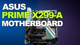 Newegg Insider ASUS PRIME X299A Motherboard Overview [upl. by Maleen]