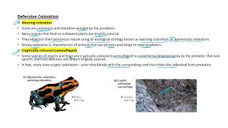 PredationPopulation interaction neetbiology apbiology ibbiology ecology cbseboard [upl. by Ahsenrac]