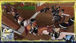 Dressage clips amp fails  Night Progress [upl. by Enelyt]