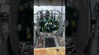 Gillnetting salmon in Southeast Alaska fishing gillnetting [upl. by Lindi382]