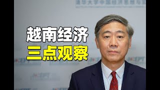 李稻葵：越南经济的三点观察——越南越南制造挑战在哪？未来能替代中国制造吗？【清华大学李稻葵】 [upl. by Brana]