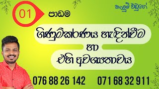 ACCOUNTING SINHALA  ACCOUNTING BASICS IN SINHALA  A L Accounting [upl. by Gabby]