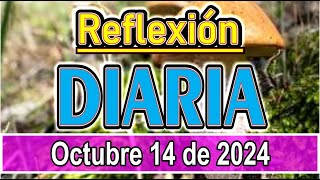 Reflexión diaria de hoy lunes 14 de octubre de 2024 Mensajes y reflexiones para iniciar bien el día [upl. by Lyndes]