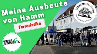 Meine Ausbeute von der 72 Terraristika in Hamm 2018 Dezember [upl. by Ballinger]