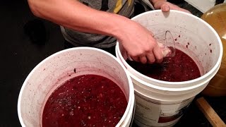 How to Start a Wine Fermentation and Balance Your Must  Home Winemaking [upl. by Arimihc]