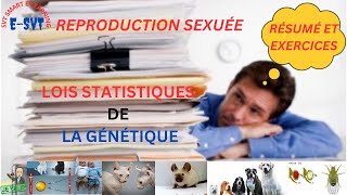 Génétique formelle  Résumé et exercices [upl. by Rehotsirk]