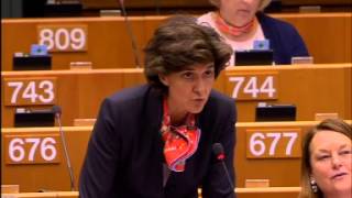 Sylvie Goulard 24 Jun 2015 plenary speech on the Stability and Growth Pact [upl. by Aurora155]