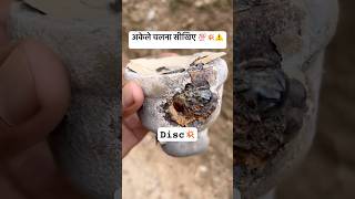 Insulator💥Blast😱electricity bijli insulator fault shorts youtubeshorts viralvideo [upl. by Milena]