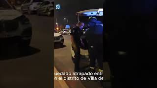 El rescate de un pavo real atrapado entre las ramas de un árbol en Villa de Vallecas [upl. by Poppas]