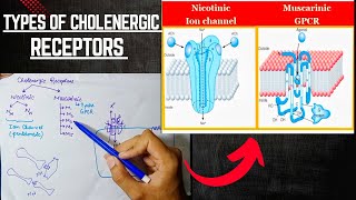 Cholenergic Receptors  Cholenergic System  ANS Pharmacology [upl. by Nosral81]