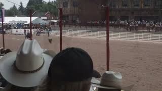 Calf Roping [upl. by Jolene75]