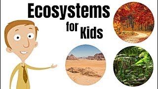 Ecosystems for Kids [upl. by Vig]