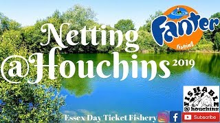 Netting BIG Catfish and Carp from Fishable  Houchins day ticket fishery Colchester Essex [upl. by Fiona61]