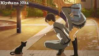 Sad Anime Song  Kirameki キラメキ FULL  OST Ending Shigatsu Wa Kimi No Uso 四月は君の嘘 [upl. by Engracia]