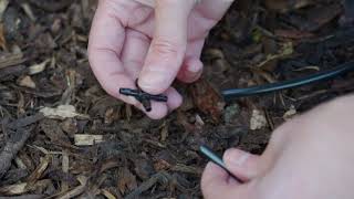 Using a 4mm Barbed Cross Connector in a Micro Irrigation System [upl. by New]