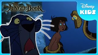 🌟 Bagheera Saves Mowgli  Jungle Book  Disney Kids [upl. by Adnilram406]