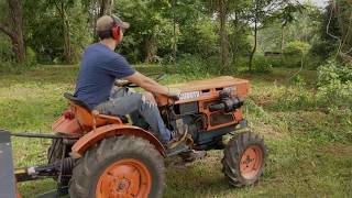 Flail Mowing  Kubota B7100 [upl. by Denby]