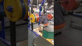 Squat Everyday shorts strengthtraining squats deadlift olylifting glutes atlasstones [upl. by Weixel]