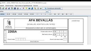 ÁNYK NAV 2265 nyomtatvány kitöltő Excel alapokon ÁFA összesítő jelentéshez [upl. by Wales]