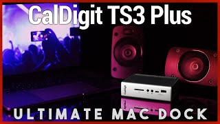 Best Mac Dock with USBC Thunderbolt 3  CalDigit TS3 Plus Review [upl. by Tebor455]