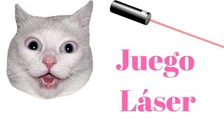 Video para gatos con Láser para Jugar  Juego para gatos de Láser [upl. by Adnohsed623]