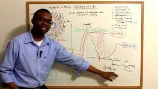 Hepatitis B lecture Video [upl. by Hannaj851]