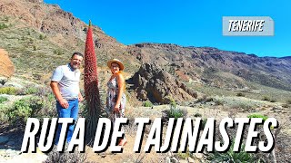 El TEIDE  Ruta de TAJINASTES  Llano de Ucanca  TELEFÉRICO [upl. by Cheyney]