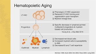 Drivers of Hematopoietic Stem Cell Aging with Jennifer Trowbridge  Sanford Stem Cell Symposium [upl. by Rosabella]