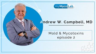 Mold and Mycotoxins episode 2  Dr Andrew WCampbell [upl. by Nacnud725]