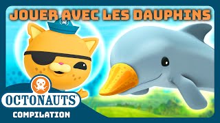 Octonauts  🏐 Jouer avec les dauphins 🐬  Compilation  Dessins animés pour enfants [upl. by Templer379]