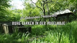 60 Sekunden Pellworm Ruhe tanken in der Vogelkoje [upl. by Quinn]