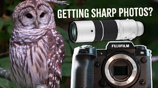 Am I Getting Sharp Photos Fujifilm XH2S  XF150600 High ISO amp Noise Reduction VLOG [upl. by Dorella30]