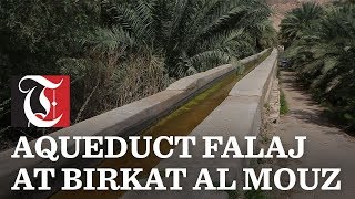 The aqueduct falaj at Birkat Al Mouz [upl. by Desta]