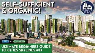 Going GREEN with the Green Cities DLC  Ultimate Beginners Guide to Cities Skylines 13 [upl. by Vala]