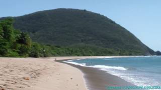 DESHAIES GRANDE ANSE [upl. by Llednew]