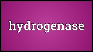 Hydrogenase Meaning [upl. by Dnomsaj]