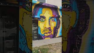 Long Live Kobe amp Nipsey Hussle Melrose Ave Vlogging in LA [upl. by Magena]