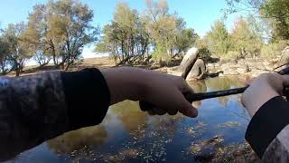 Another murray cod edit fishing the Gwydir and McDonald rivers [upl. by Mccarthy82]