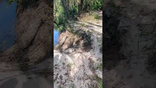 Hurricane Milton Flooded Econlockhatchee Washed Out Sand by Trail at Little Big Econ State Forest [upl. by Nipsirc]