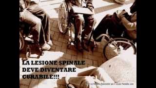 La Lesione Spinale deve diventare curabile  video wmv [upl. by Adolphus]