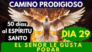 Día 29 🙏🔥 CAMINO PRODIGIOSO 50 DÍAS AL ESPÍRITU SANTOpor qué Dios poda 🌿🌿🌿🌿 [upl. by Pestana724]