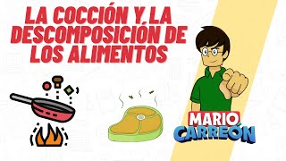 La Cocción y la Descomposición de los Alimentos [upl. by Fanni]