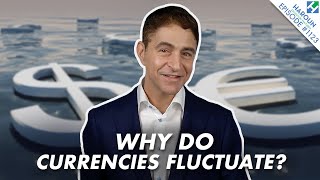 What Causes Currencies to Rise and Fall  FX 101 Finance Explained [upl. by Noby]