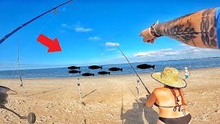 Insane Action Fishing From Land Catch Clean amp Cook [upl. by Nirat]