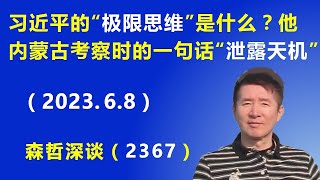 习近平的“极限思维”是什么？ 习近平内蒙古考察时的一句话“泄露天机”（202368） [upl. by Sergent216]