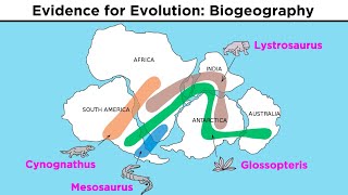 The Evolution of Populations Natural Selection Genetic Drift and Gene Flow [upl. by Vasilis]