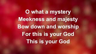 Meekness And Majesty  Worship Lyric Videos Preview [upl. by Attaynik]