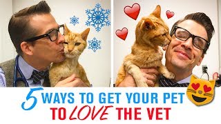 5 Tips to Get Your Pet to Love the Vet  Fear Free Veterinary Visits [upl. by Michaud334]