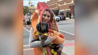 Pups parade in their Howloween costumes in downtown Naperville [upl. by Ystap]