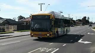 ZF KICKDOWN Torrens Transit MAN NL232 CNG 782 Audio [upl. by Clough]